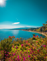 Purple flowers, turquoise sea and volcano, vertical image 