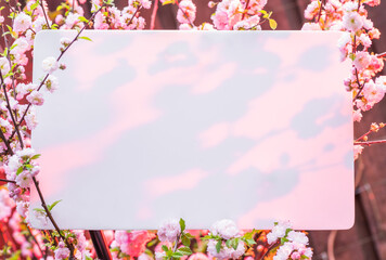 Paper blank between flowering almond branches in blossom. Pink flowers as a frame.