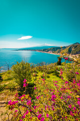 Purple flowers turquoise sea and volcano, vertical image 