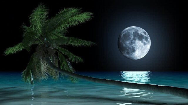 Beautiful tropical landscape at night palm tree above the waves of the sea and the moon shines.
Animation of a palm tree tilted over the ocean on the beach  