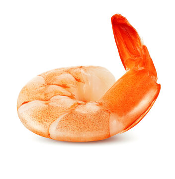 Shrimp or prawn isolated on white background  