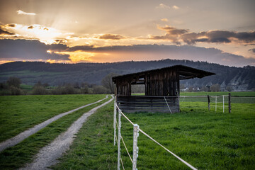 Old dilapidated barn in the meadow in Germany