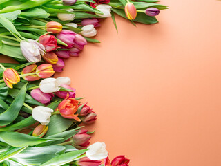Colorful  bouquet of tulips on orange background.