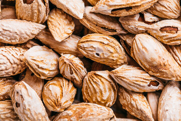 Almonds in shells. Food background. close-up