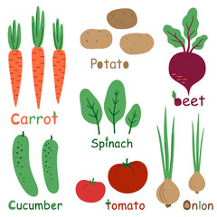 Set of stylized vegetables with the original inscriptions. Natural organic farm food: сarrots, potatoes, tomatoes, cucumbers, onions, spinach, beet. Vector flat illustration Isolated on a white.