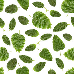 Mint seamless pattern background. Colorful print with mint leaves.