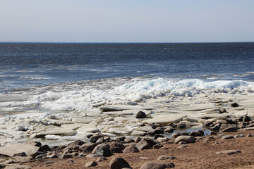 An early spring bay with ice floes near the shore on a sunny day