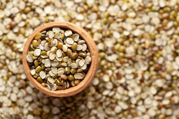 Macro Close up of Organic split green urad dal (Vigna mungo)   Full-Frame in an earthen clay pot (kulhar) on the self background. Top view