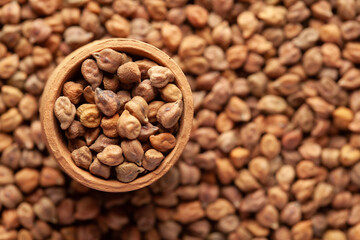 Macro Close up of Organic chana or chickpea (Cicer arietinum) or whole white Bengal gram  in an earthen clay pot (kulhar) on the self background. Top view