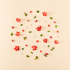 Round spring pattern made of red flowers, petals, green leaves and thorns on bright beige background. Minimal floral arrangement. Creative nature concept. Flat lay.