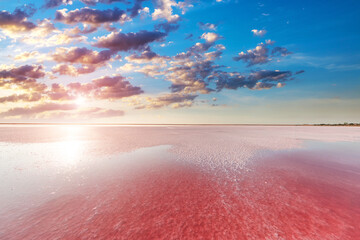 Fototapety  aerial view of pink lake and sandy beach