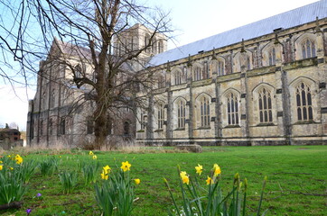 View of the Winchester cathedral from park