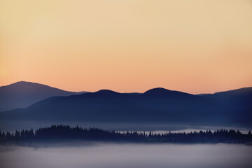 View of the mountains in the fog and the spruce forest in the early morning. Magnificent mountain morning.