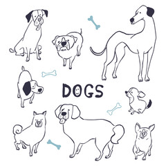 手描き風の犬のイラスト（Hand drawn dog illustration）