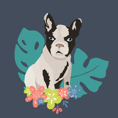Naklejka premium Dog French Bulldog vector flat illustration on blue with flowers. hand drawing