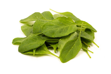 Baby spinach leaves stock photo