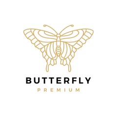 butterfly gold monoline outline logo vector icon illustration