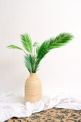 palm decorative house plant modern 