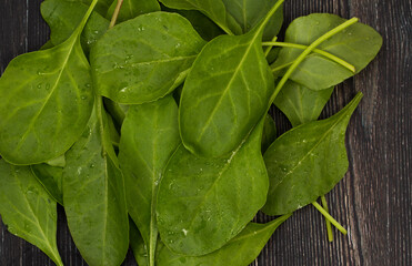Baby spinach leaves stock photo