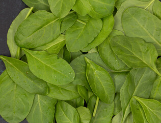 Close up of fresh green spinach