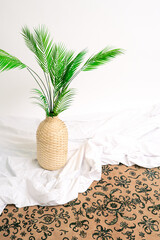 palm decorative house plant modern 