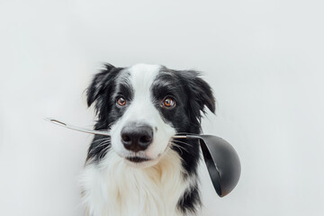 Fototapeta na wymiar Funny portrait of cute puppy dog border collie holding kitchen spoon ladle in mouth isolated on white background. Chef dog cooking dinner. Homemade food restaurant menu concept. Cooking process