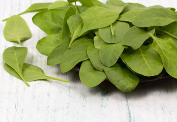 Spinach stock photo