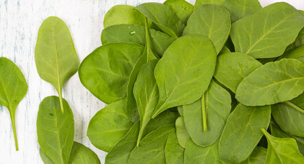 Spinach stock photo