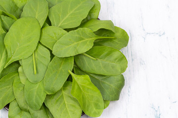 Spinach stock photo