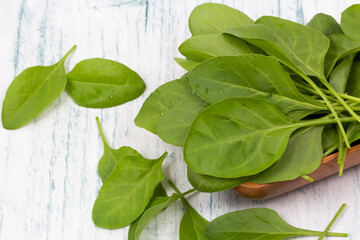 Baby spinach leaves stock photo