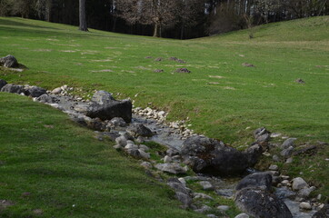 landscape, creek