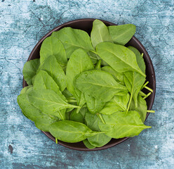 Fresh Spinach in bowl stock photo