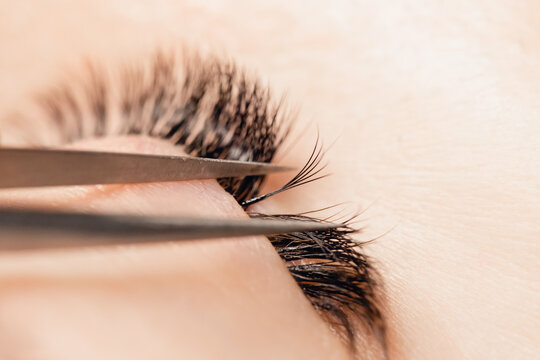 Eyelash extension procedure. Classic volume black fake long lashes beautiful female eyes