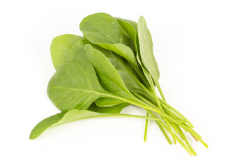Baby Spinach stock photo