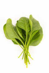 Baby Spinach stock photo