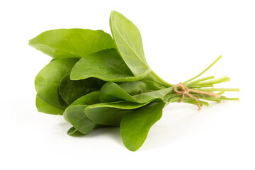 Fresh Spinach on white background
