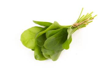 Fresh Spinach on white background