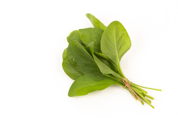 Fresh Spinach on white background