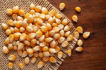 Macro Close-up of Organic Yellow Corn Seed or Maize (Zea mays) on Jute mat and wooden top.
