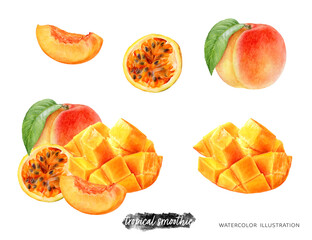 Fototapeta na wymiar Passion fruit peach mango composition watercolor illustration isolated on white background