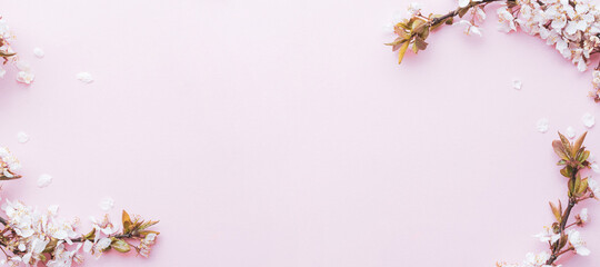 Sakura background with flower blossom and April floral nature on pink. Beautiful scene with blooming tree. Easter Sunny day. Orchard abstract blurred background. Springtime.