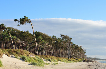 Baltic Sea coast
