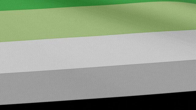 Agender pride flag with black, gray, white and green stripes waving in the wind