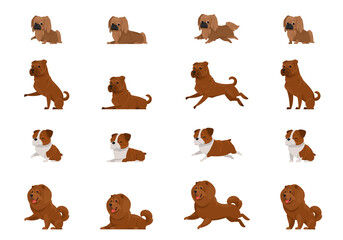 Set of dogs in different poses. Pekingese, Shar Pei, English Bulldog and Chow-Chow in cartoon style.