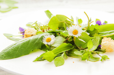 Wildkräutersalat Wildkräuter Salat