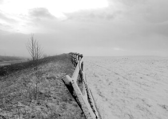 black and white winter landscape
