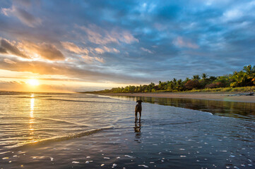 Beautiful sunset sky with along black dog on the beach in Matapalo, Costa Rica. Central America. Sky background on sunset. Tropical sea.