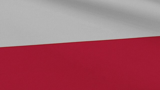 Flag of Poland. Close-up of a flag flying in the wind. 3D rendering 