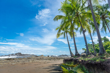 View from Rocas Amancio with beatiful palm trees on the rocky shore. Costa Rica, Dominicalito Beach. Central America. Tropical pacific ocean.