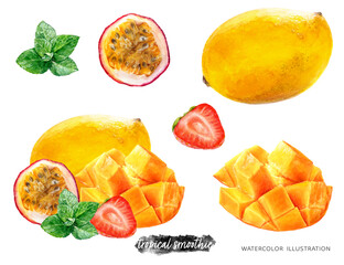 Fototapeta na wymiar Passion fruit mango strawberry mint smoothie recipe watercolor illustration isolated on white background